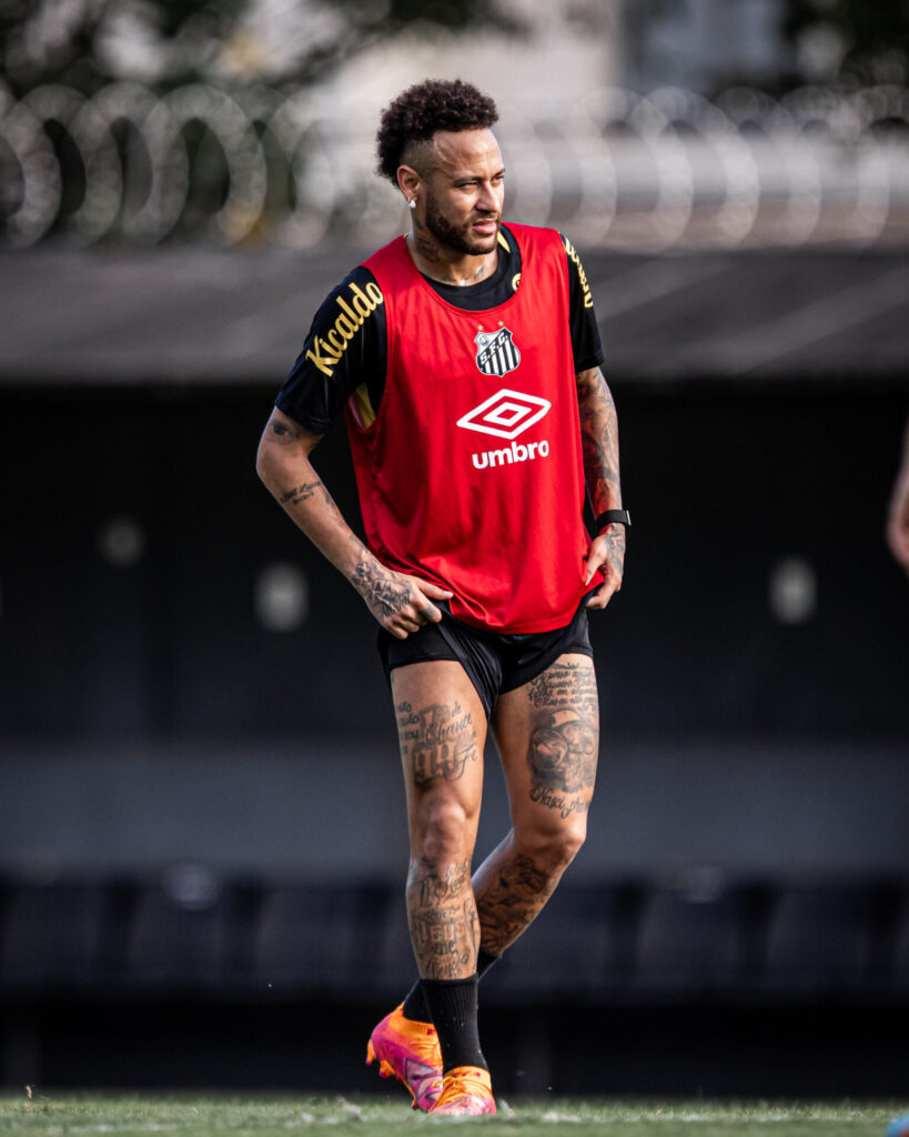 Foto: Raul Baretta / Santos FC