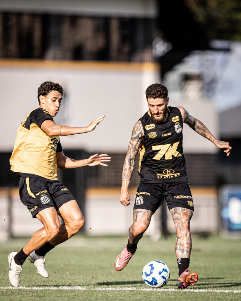 Foto: Raul Baretta / Santos FC