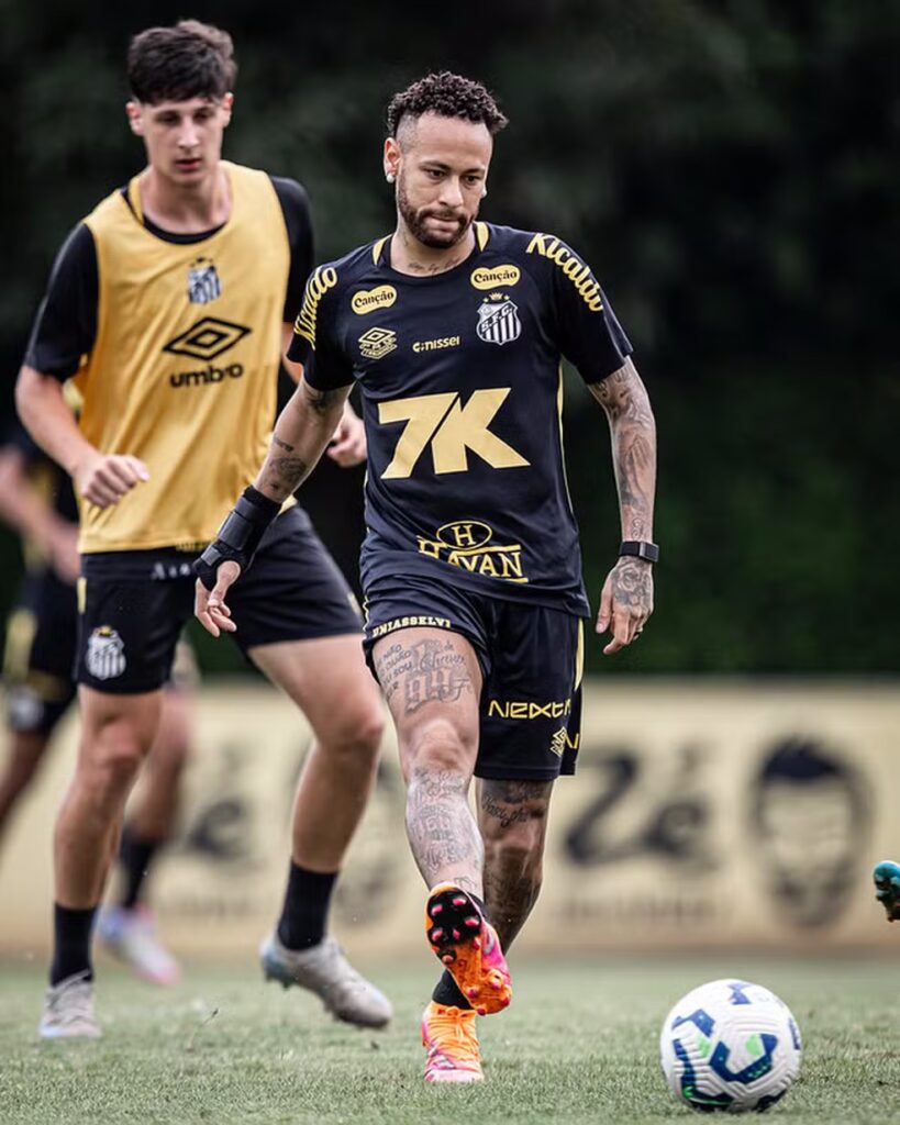 Foto: Raul Baretta / Santos FC