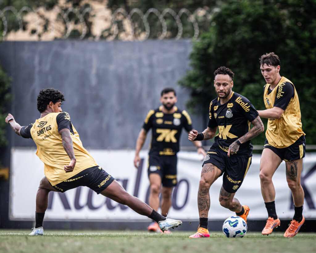Foto: Raul Baretta / Santos FC