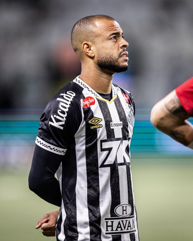 Foto: Raul Baretta / Santos FC