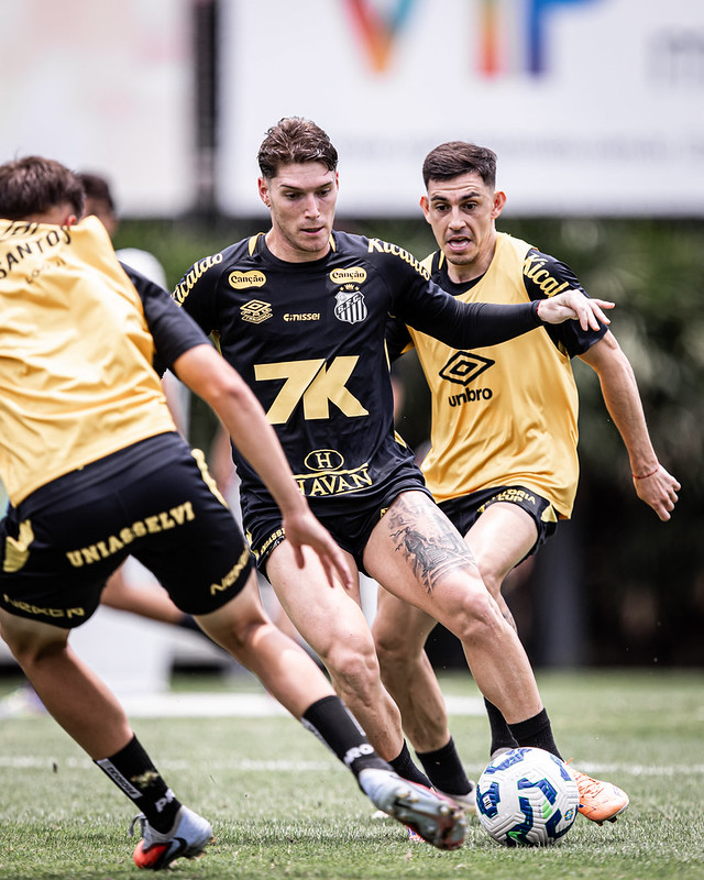 Foto: Raul Baretta / Santos