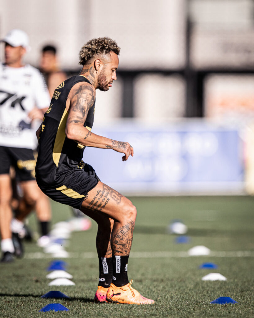 Foto: Raul Baretta / Santos FC