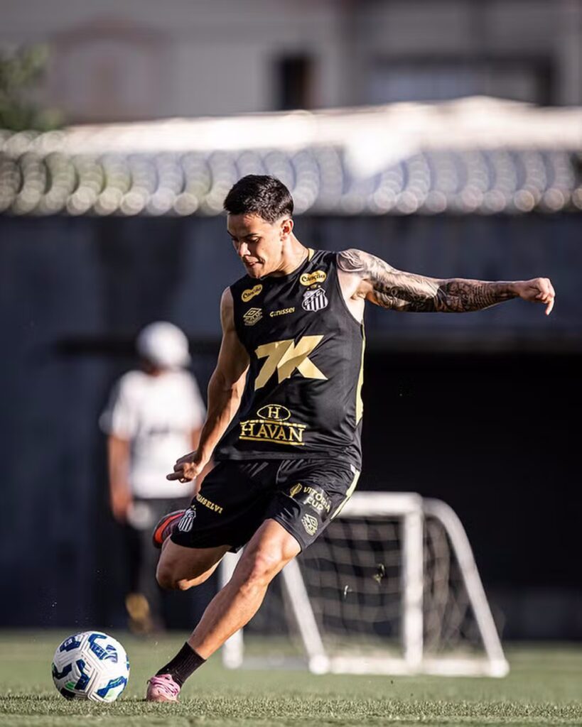 Foto: Raul Baretta/ Santos FC
