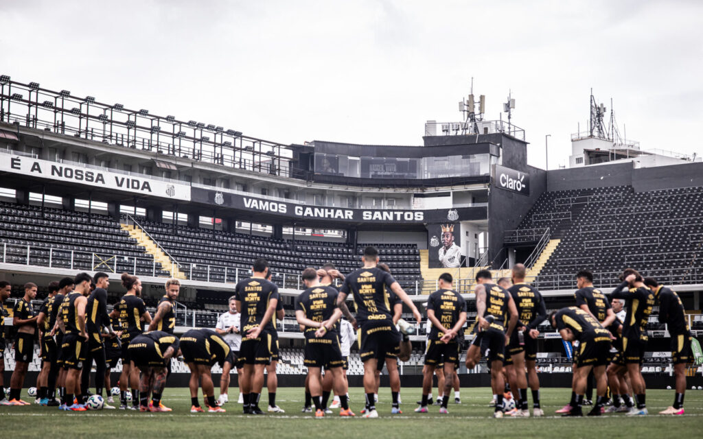 Foto: Raul Baretta / Santos FC