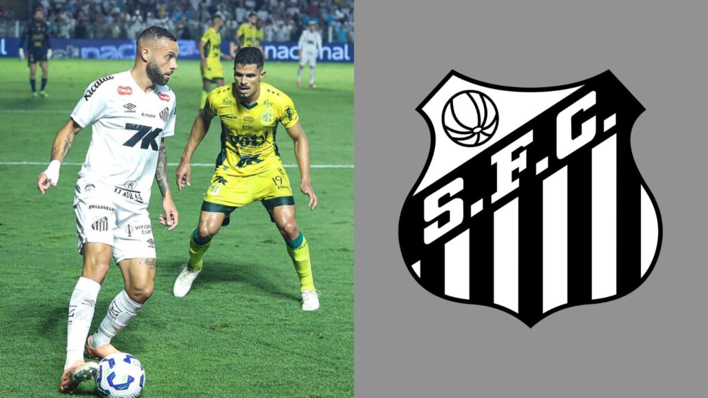 Capas para matérias (17)