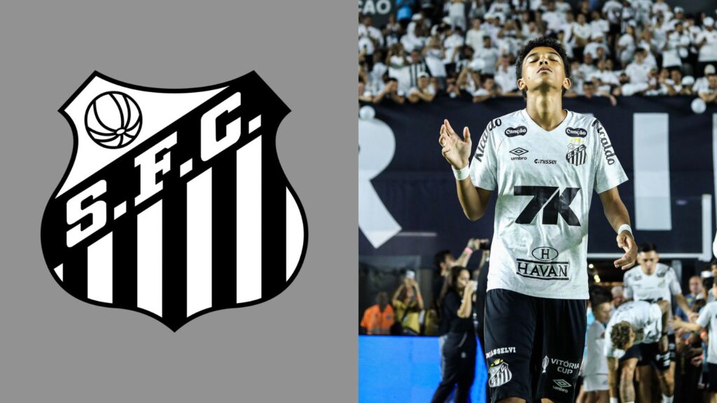 Capas para matérias (19)