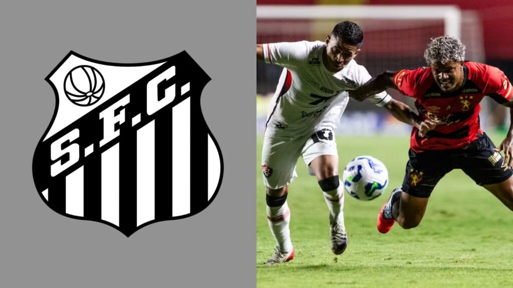 Capas para matérias (21)