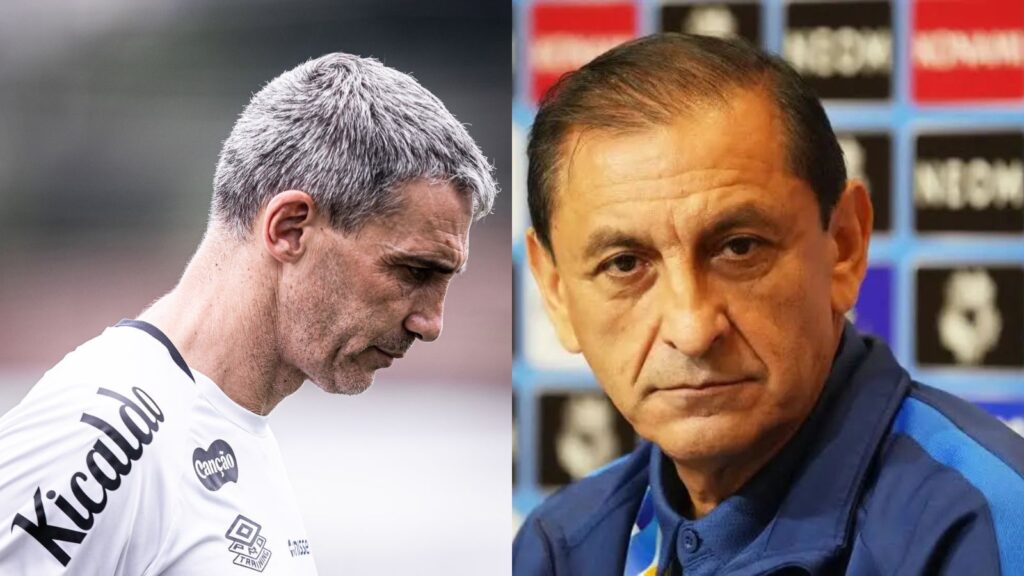 Capas para matérias (22)