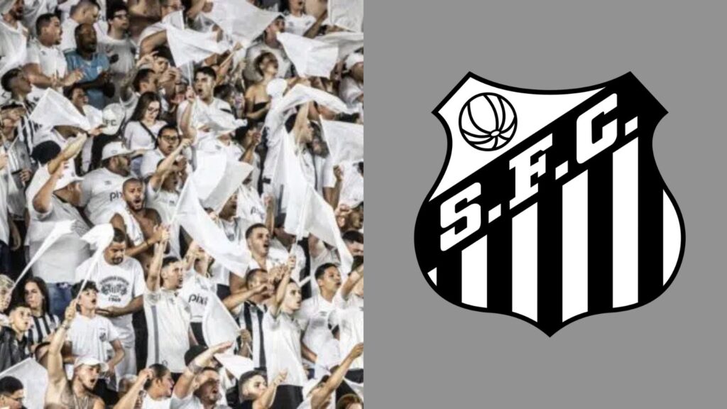 Capas para matérias (25)