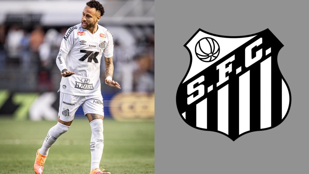 Capas para matérias (25)