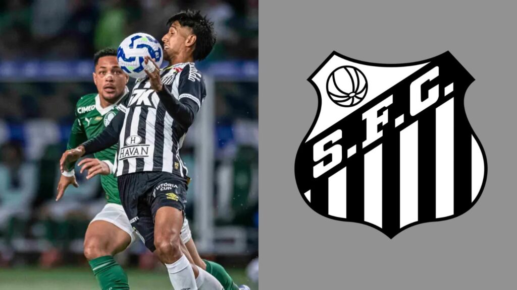 Capas para matérias (27)