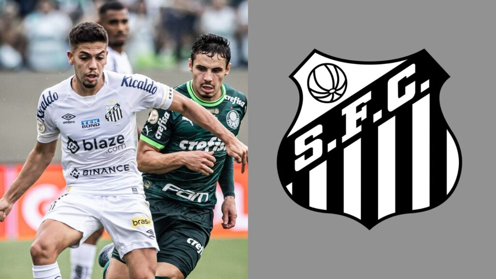 Capas para matérias (31)