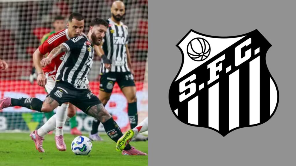 Capas para matérias (31)