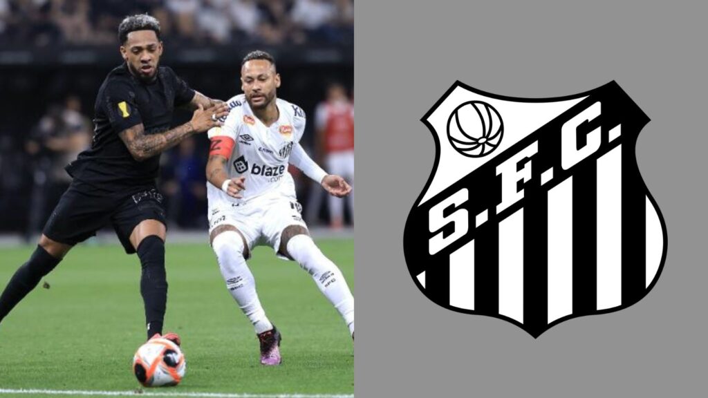 Capas para matérias (36)