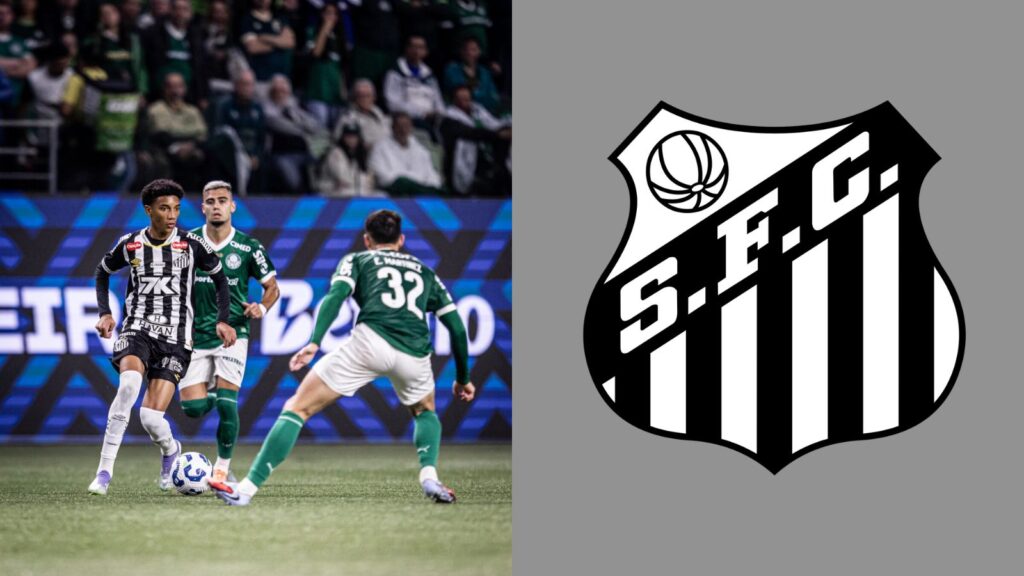 Capas para matérias (36)