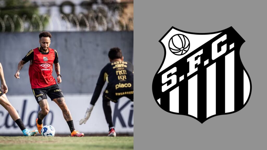 Capas para matérias (40)