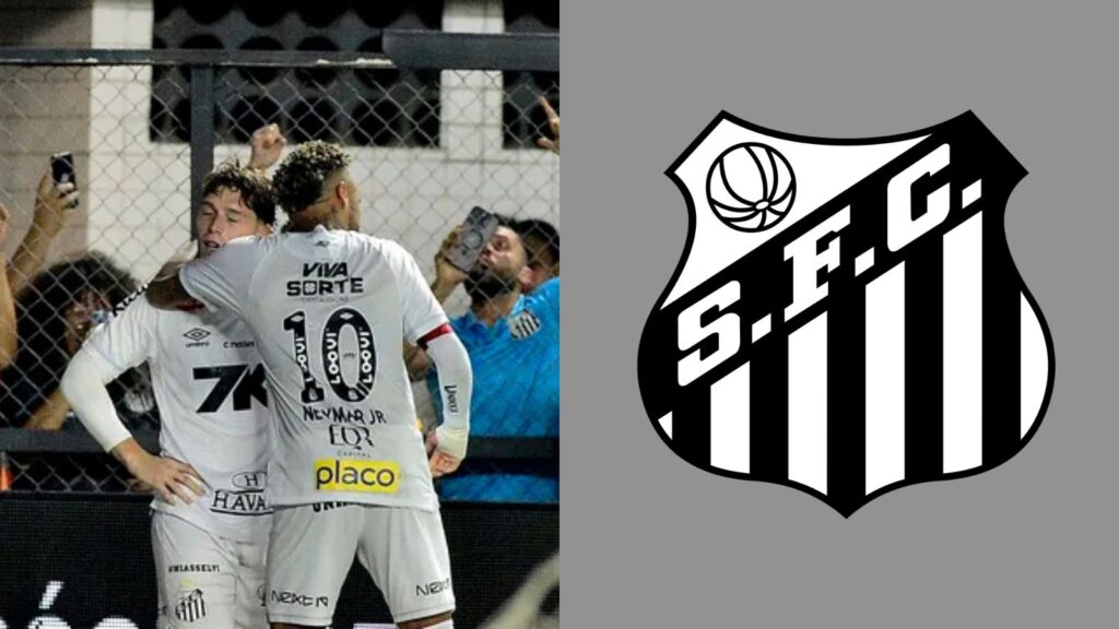 Capas para matérias (42)