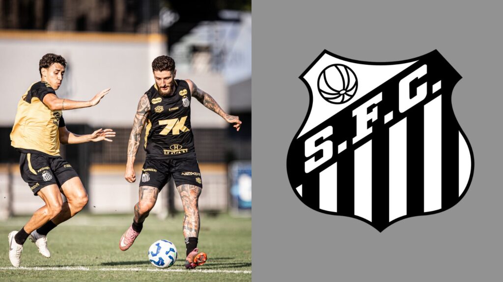 Capas para matérias (42)