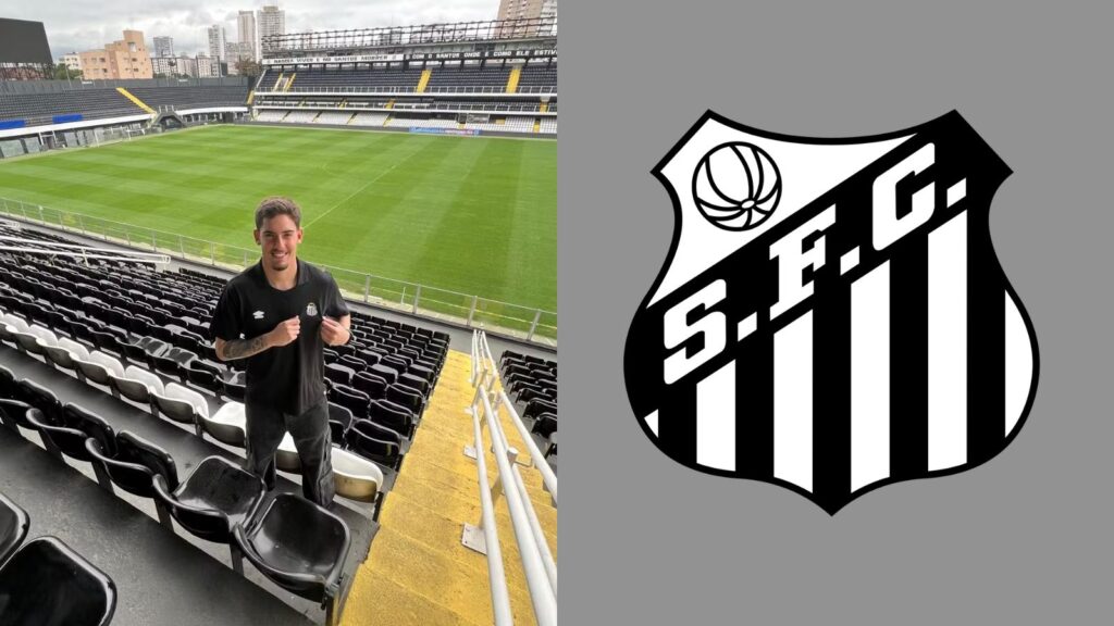 Capas para matérias (45)