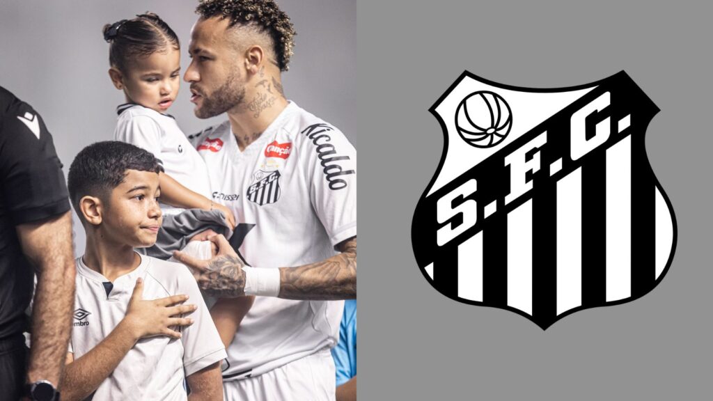 Capas para matérias (46)