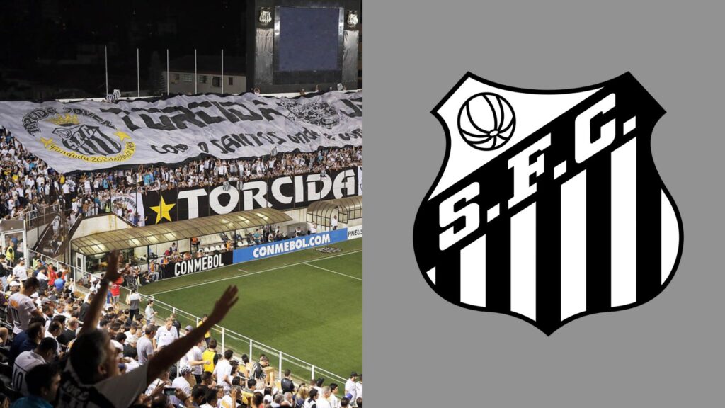 Capas para matérias (47)