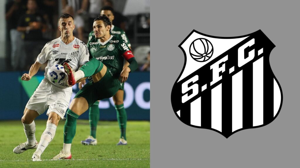 Capas para matérias (49)