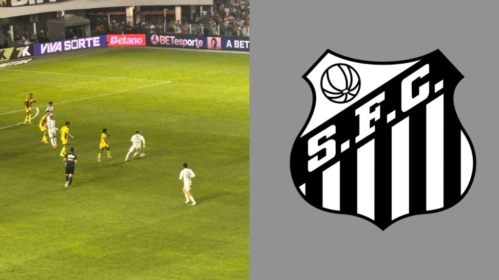 Capas para matérias (5)