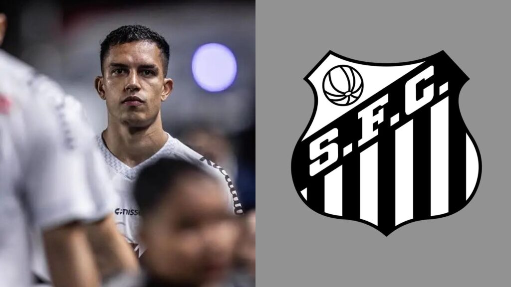 Capas para matérias (5)