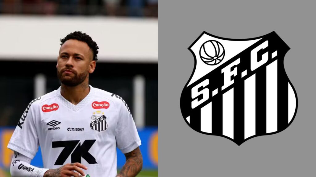 Capas para matérias (73)