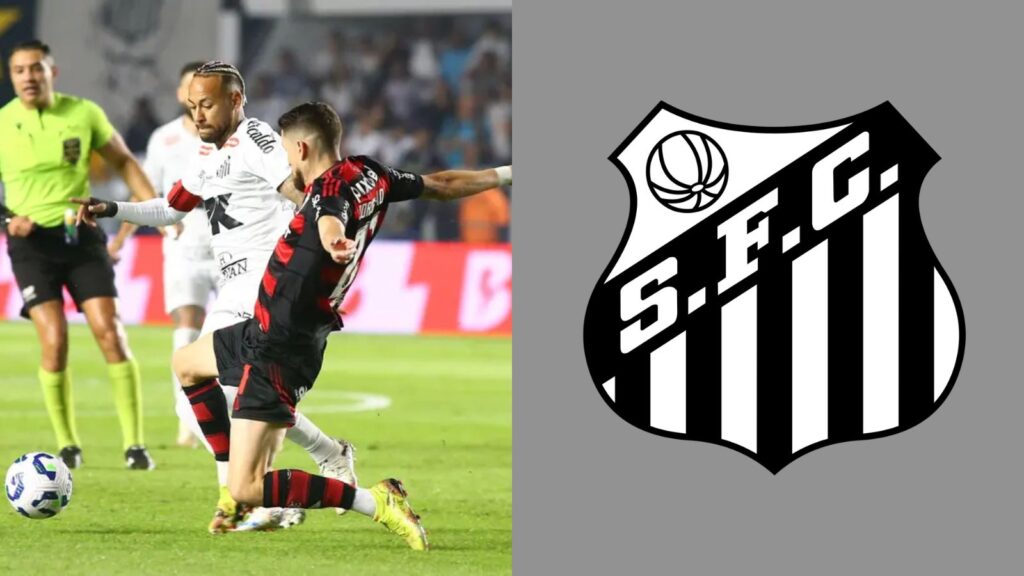 Capas para matérias (74)