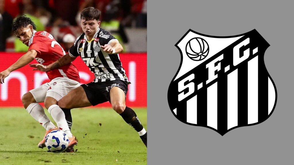 Capas para matérias (75)