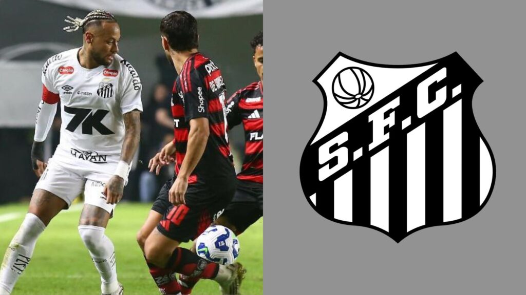 Capas para matérias (76)