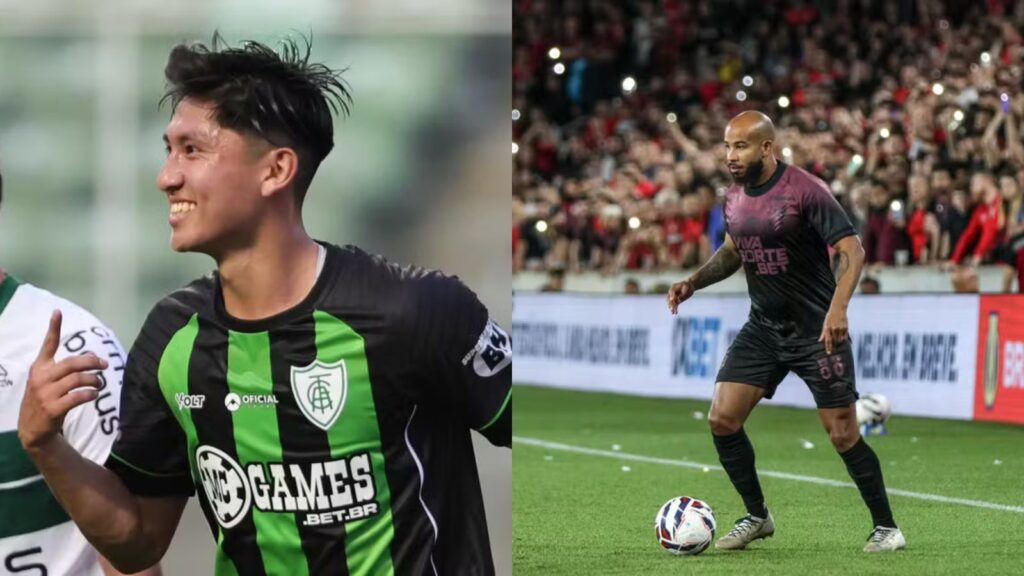 Capas para matérias (77)