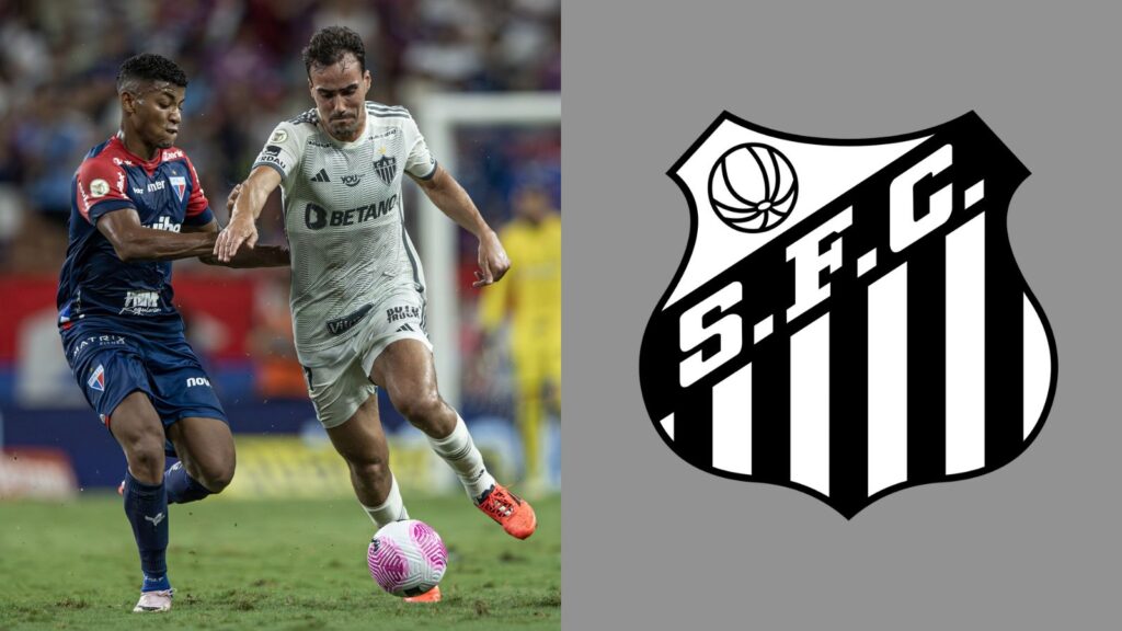 Capas para matérias (79)