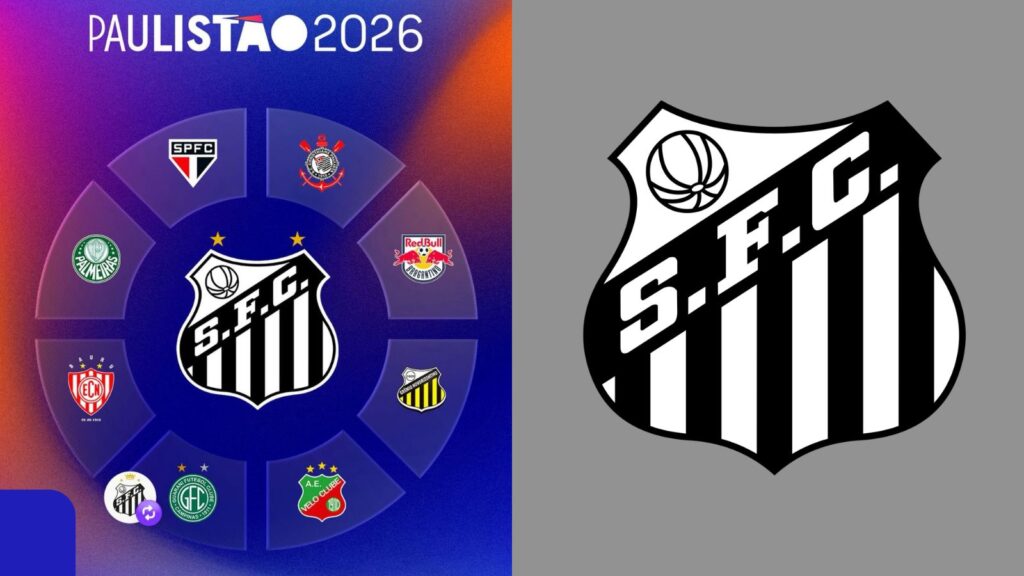 Capas para matérias (8)