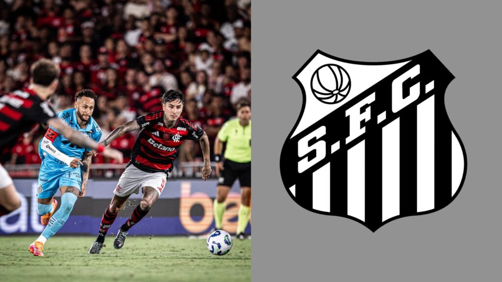 Capas para matérias (80)