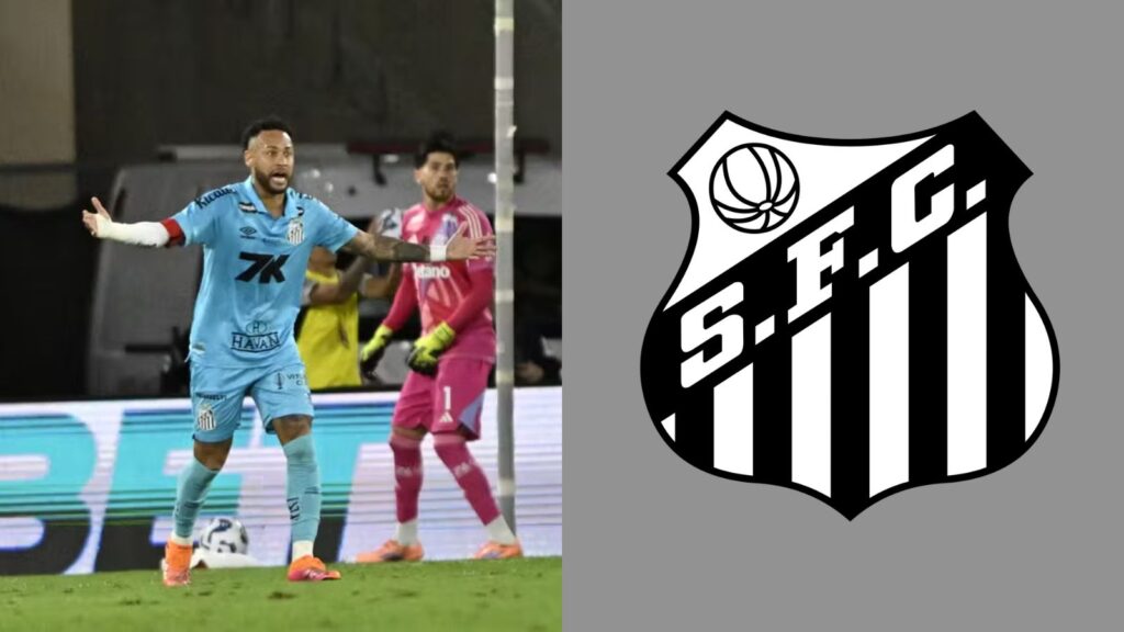 Capas para matérias (82)