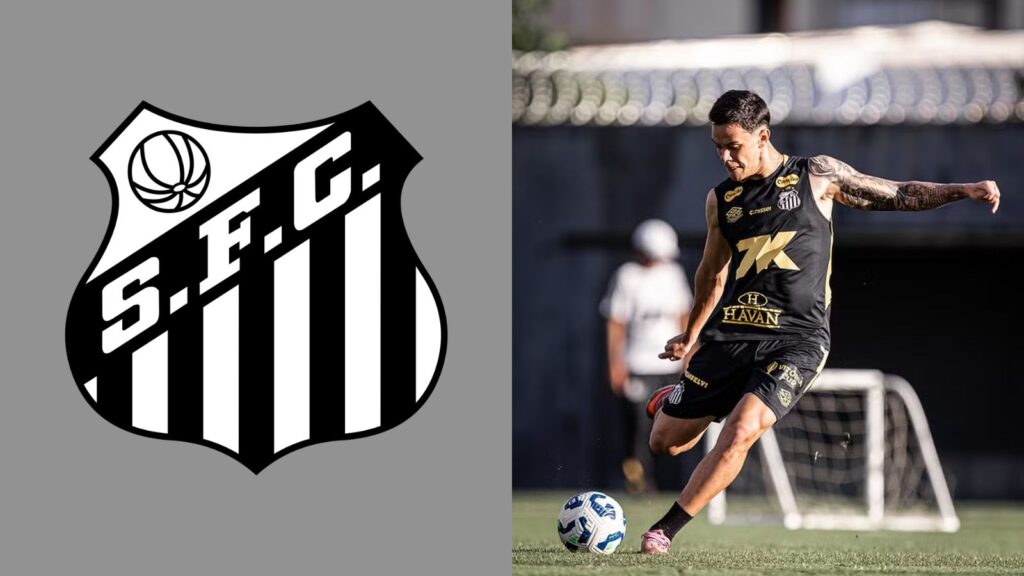 Capas para matérias (9)