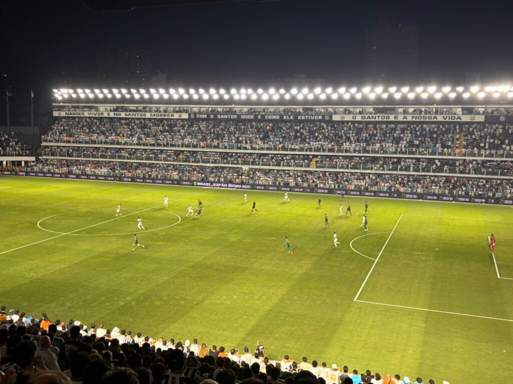 Foto: Luis Gustavo Marine - Santistas.net - Santos