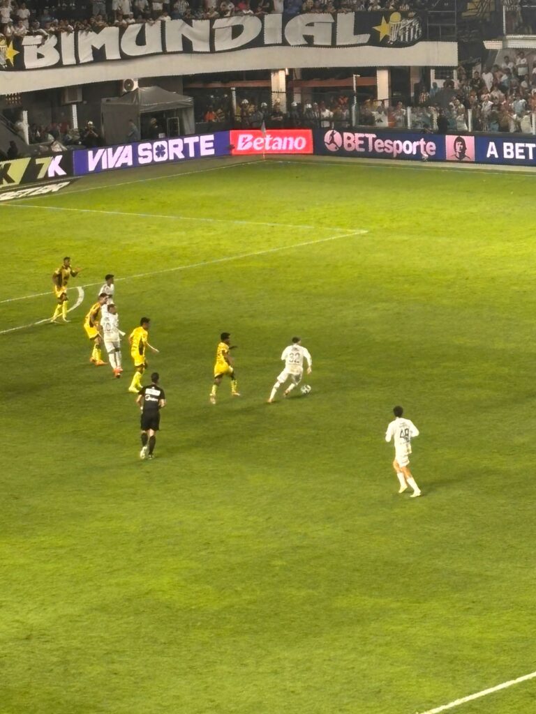 Foto: Luis Gustavo Marine - Santistas.net