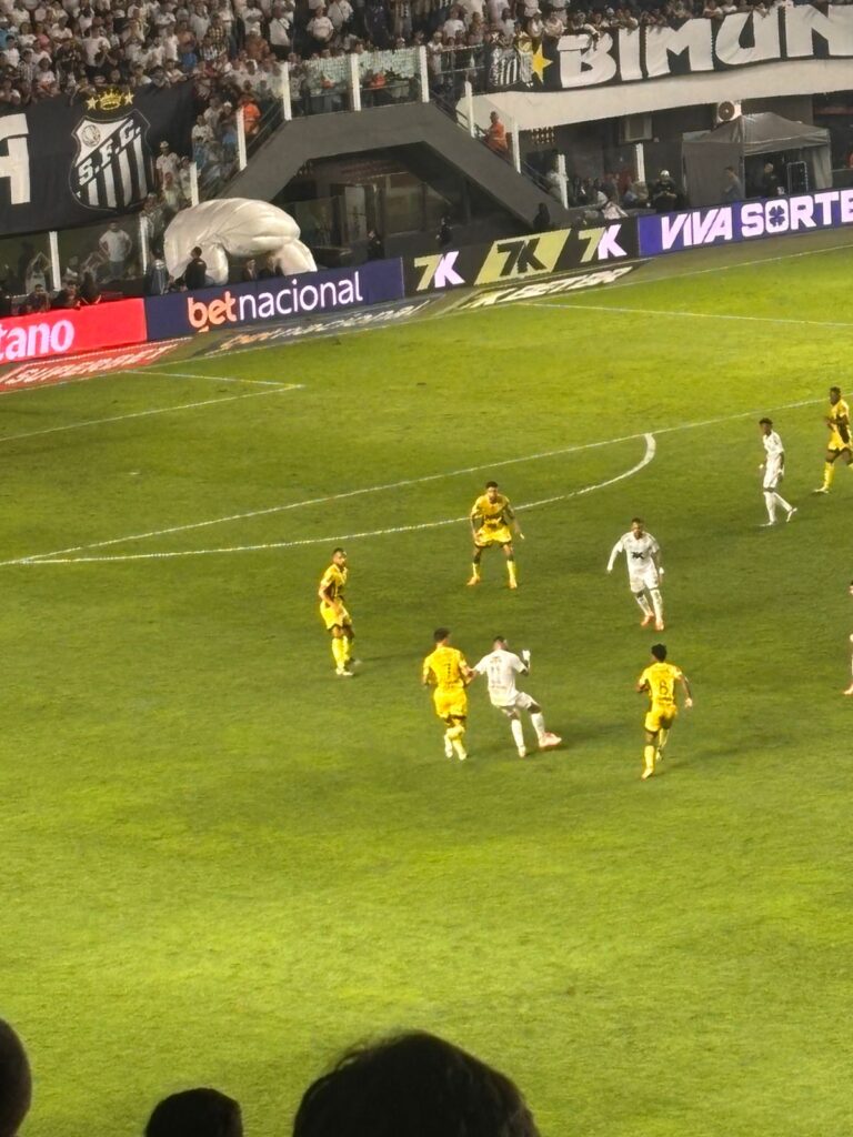 Foto: Luis Gustavo Marine - Santistas.net - Santos