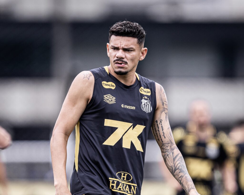 Foto: Raul Baretta / Santos FC