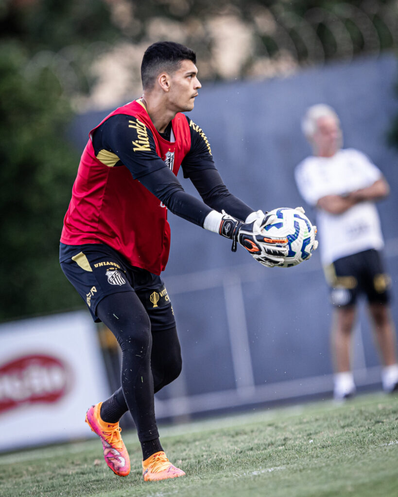 Foto: Raul Baretta / Santos FC