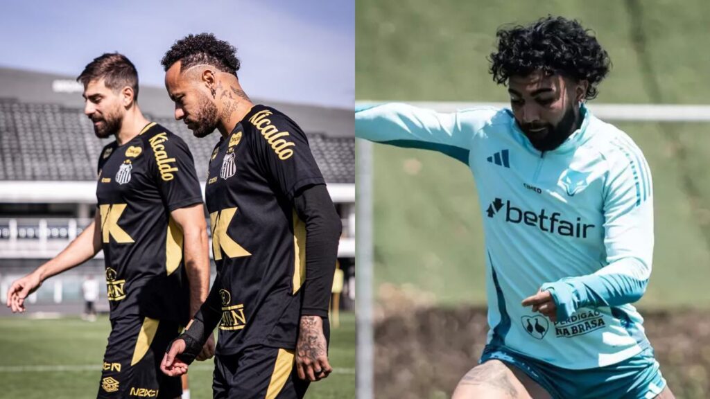 Capas para matérias (12)