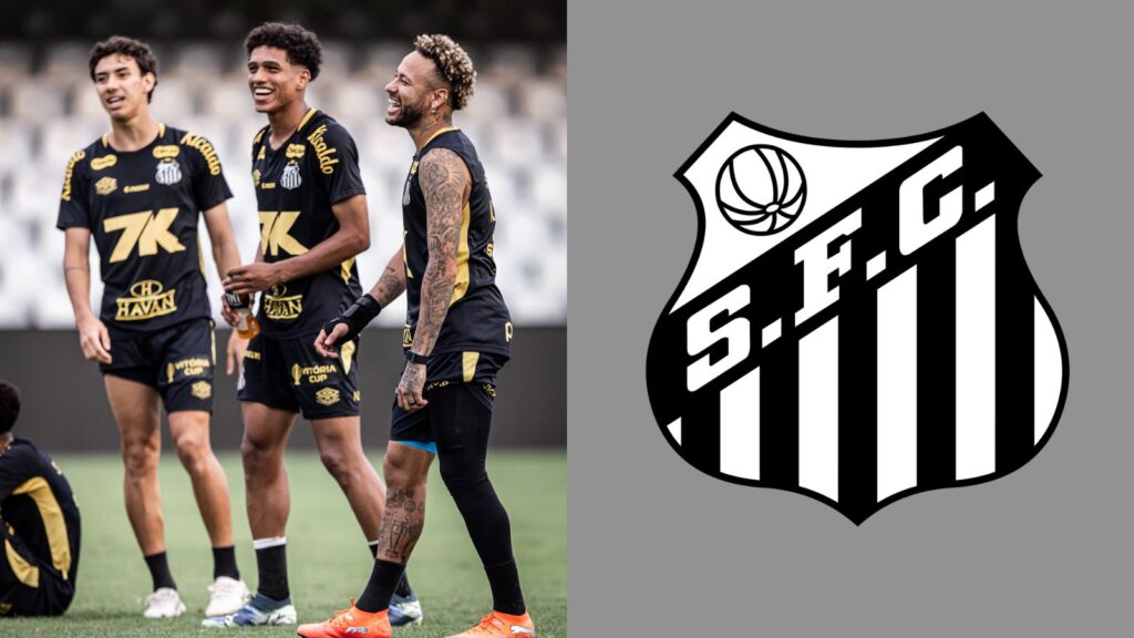 Capas para matérias (13)