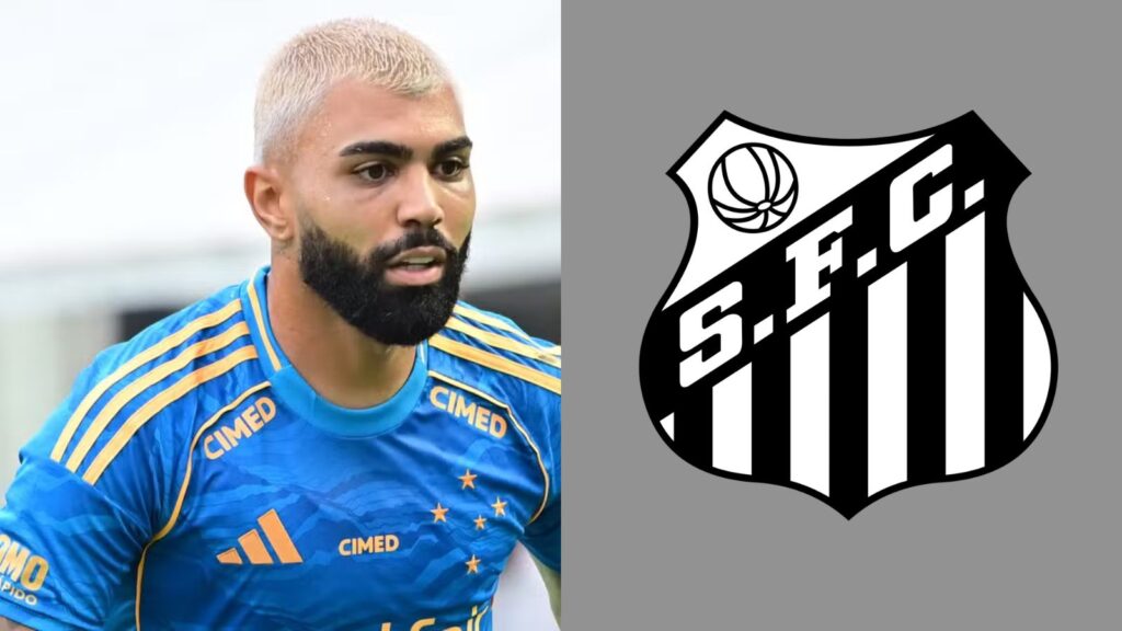 Capas para matérias (14)