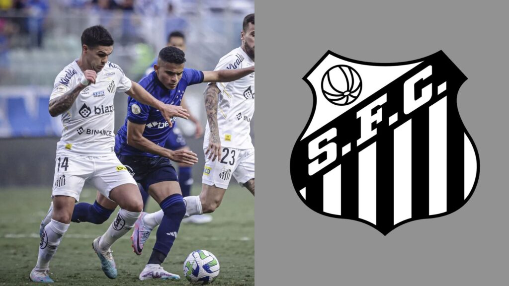 Capas para matérias (14)