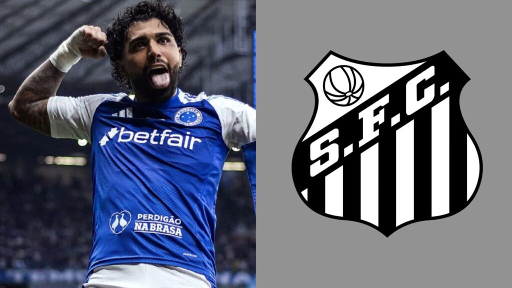 Capas para matérias (60)