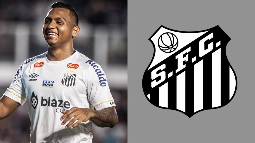 Capas para matérias (67)